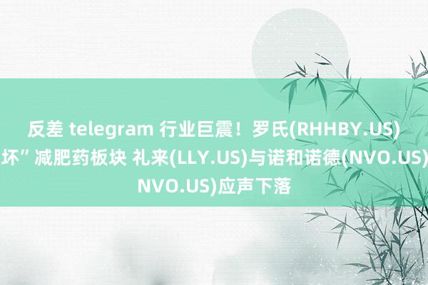 反差 telegram 行业巨震！罗氏(RHHBY.US)新药 “吓坏”减肥药板块 礼来(LLY.US)与诺和诺德(NVO.US)应声下落