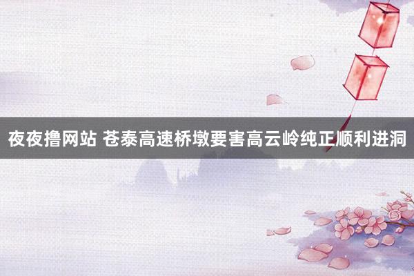 夜夜撸网站 苍泰高速桥墩要害高云岭纯正顺利进洞