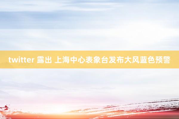 twitter 露出 上海中心表象台发布大风蓝色预警