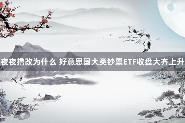夜夜撸改为什么 好意思国大类钞票ETF收盘大齐上升