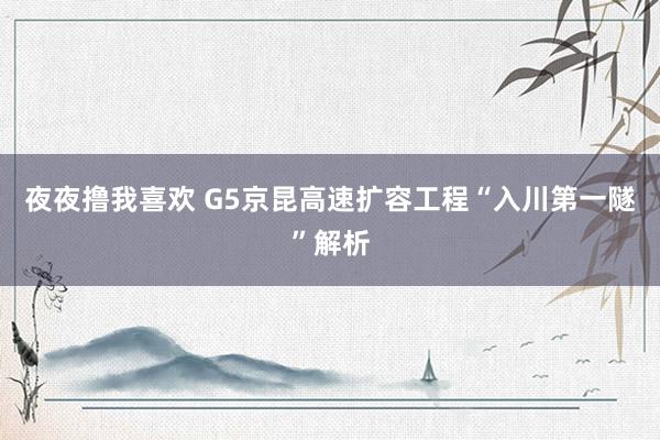 夜夜撸我喜欢 G5京昆高速扩容工程“入川第一隧”解析