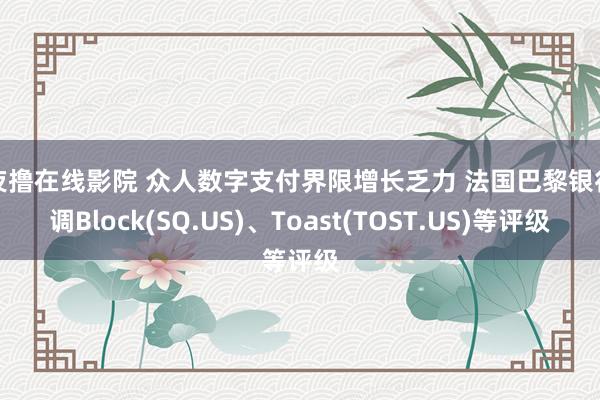 夜夜撸在线影院 众人数字支付界限增长乏力 法国巴黎银行下调Block(SQ.US)、Toast(TOST.US)等评级