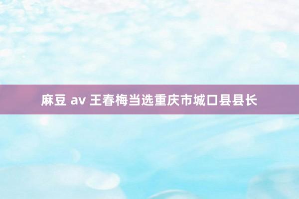 麻豆 av 王春梅当选重庆市城口县县长