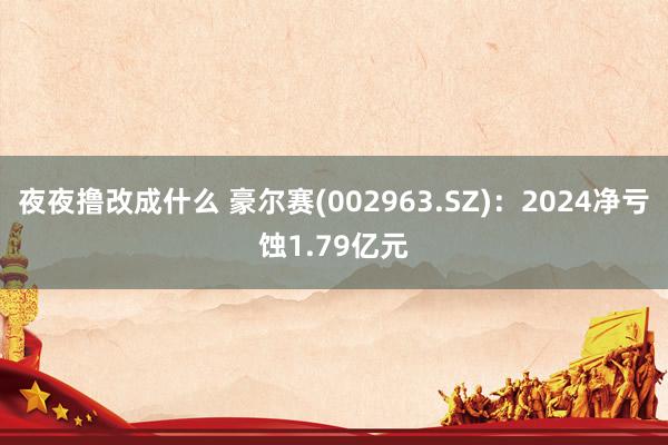 夜夜撸改成什么 豪尔赛(002963.SZ)：2024净亏蚀1.79亿元